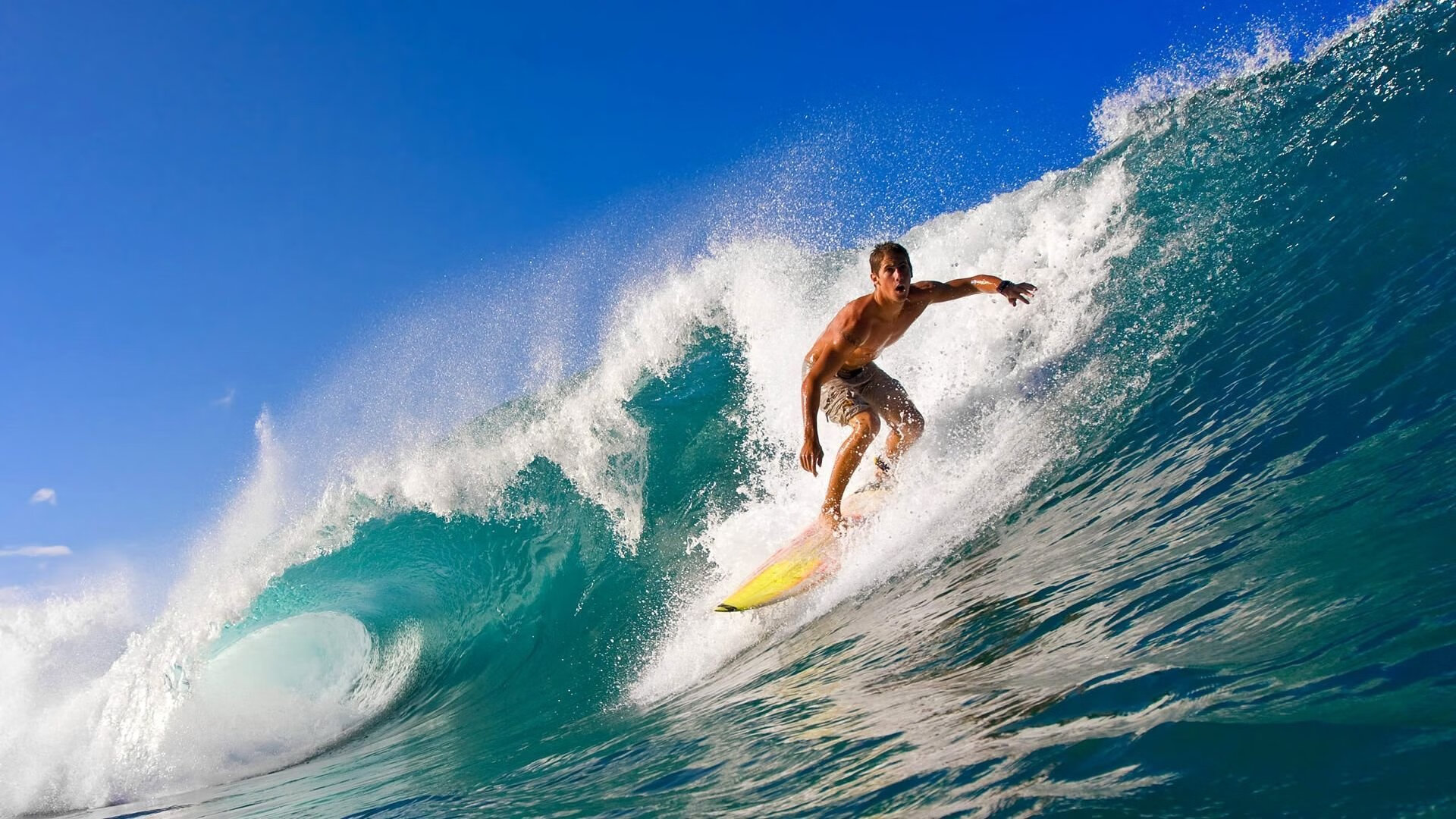 CBA成为展示中国篮球的平台，cba成为展示中国篮球的平台有哪些